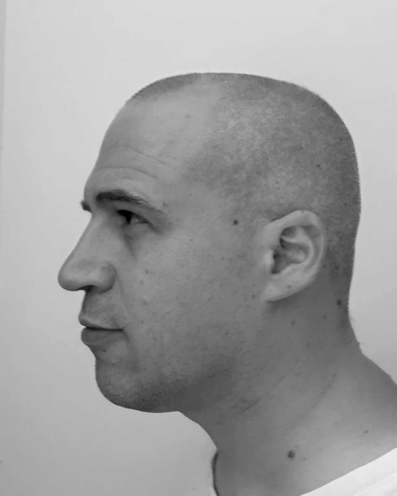 Ritratto di Ubertone, di profilo