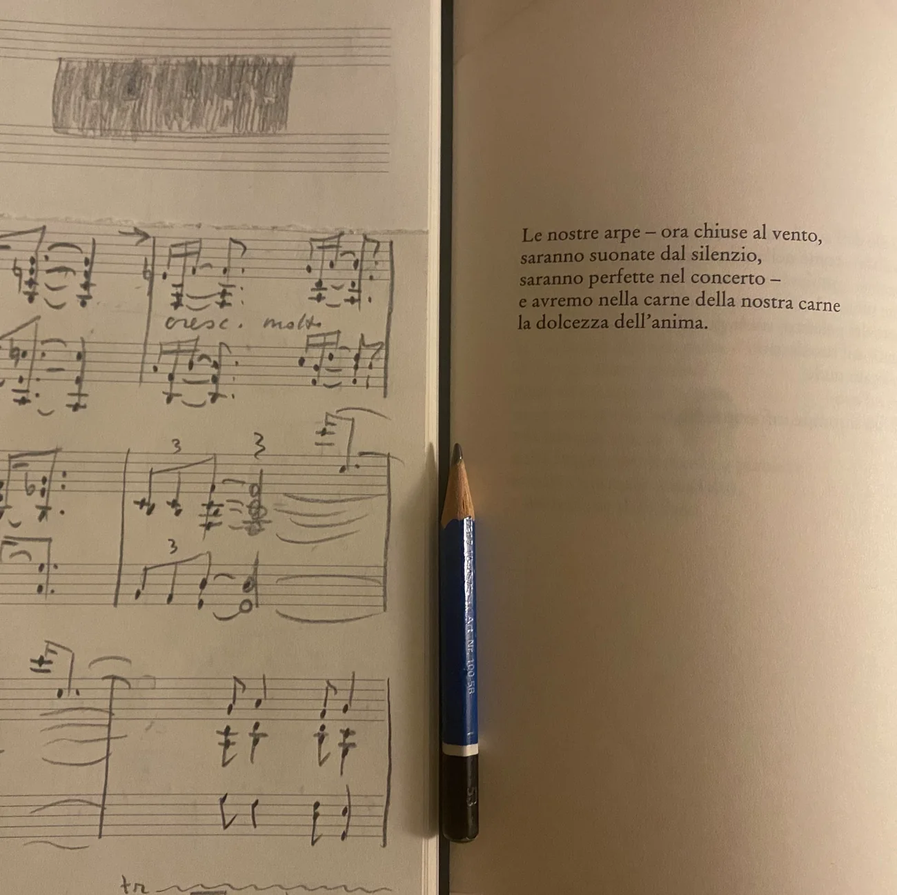 La partitura manoscritta